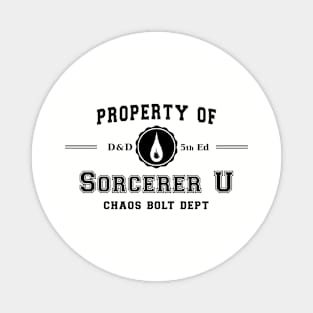 Sorcerer University Magnet